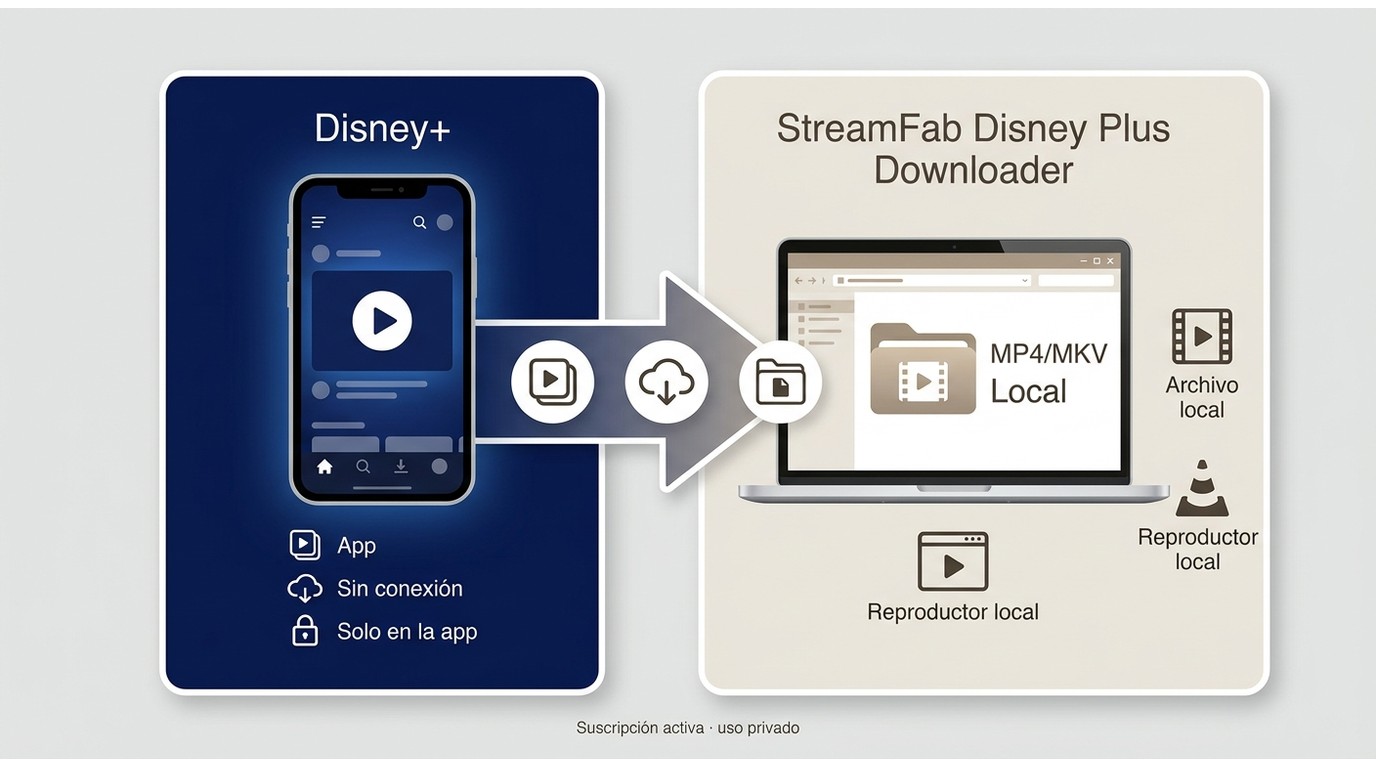 Comparación entre descargas de Disney+ dentro de la app y archivos MP4 o MKV locales